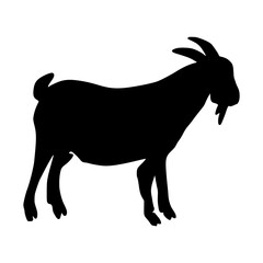 Sheep Silhouette illustration