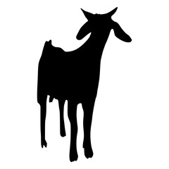 Sheep Silhouette illustration