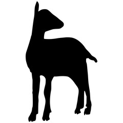 Sheep Silhouette illustration