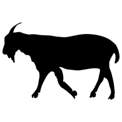 Sheep Silhouette illustration