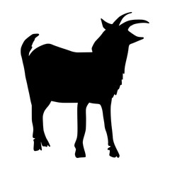 Sheep Silhouette illustration