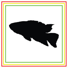 black freshwater ornamental fish silhouette vector design on a white background