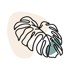 Monstera Floral Decoration Hand Drawn