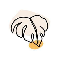 Monstera Floral Decoration Hand Drawn