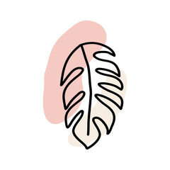 Monstera Leaves Hand Drawn