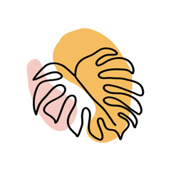 Monstera Leaves Hand Drawn