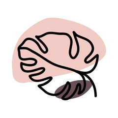 Tropical Monstera Plant Outline Illustration