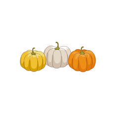 Pumpkin illustration 