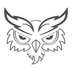 the cute owl illustration