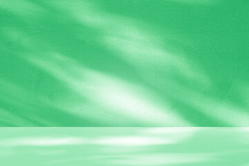 Obraz premium Wall interior background, studio and backdrops show products. with leaf shadow from window color beige and white. background for text insertion and presentation of product