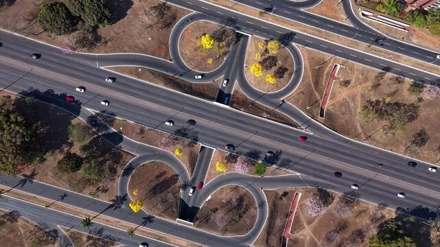 hyper lapse of yellow ipe trees on the streets of Brasilia - Brazil