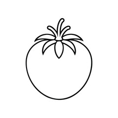 Tomato vegetable line icon. Tomato with leaves flat icon for food apps.