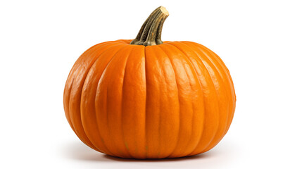 Pumpkin. Beautiful ripe orange pumpkin isolated on white