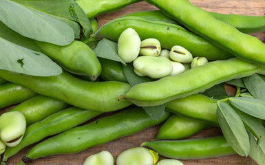 Broad bean or fava beans (Fave) on the close-up. From garden to table: springtime vegetables and...