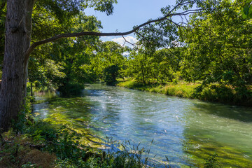 日本の風景・初夏　長野県安曇野市　大王わさび農場