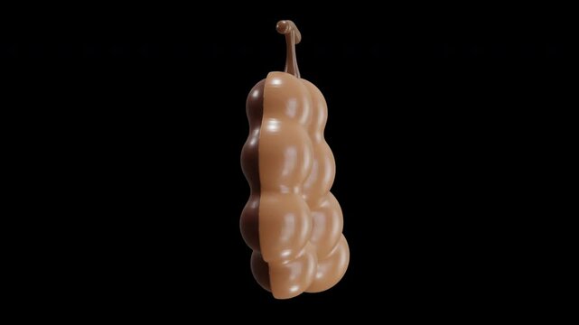 3D Animation of Tamarind