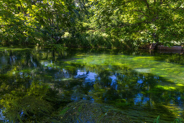 日本の風景・初夏　長野県安曇野市　大王わさび農場