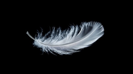 Obraz premium A single white feather isolated on a black background.