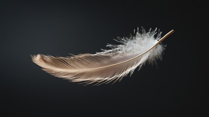 Obraz premium A delicate feather floats mid-air against a dark background.