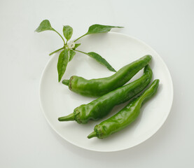 万願寺とうがらし　　白バック