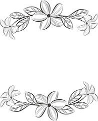 Botanical decorative frame design set . Hand drawn floral borders and divider with branch vector illustration on white isolated background