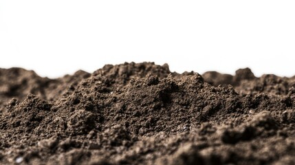 白い背景の土壌