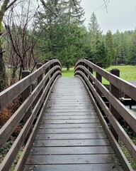 wooden bridge in the woods