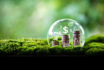 Finance Money Growth and Money Protection Concept,Coins stacked in a glass ball on a moss and green nature background.