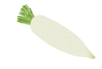 大根の手描き風イラスト