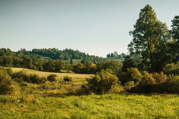 Cozy Landscape Background