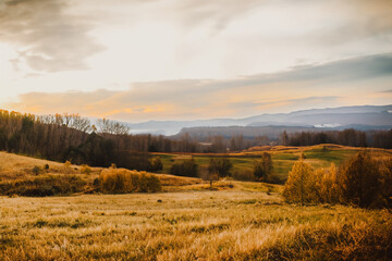 Cozy Landscape Background