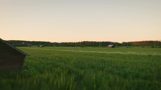 Drone Footage of Countryside, Flying Over Big Green Field at Sunset. Crops, Agriculture
