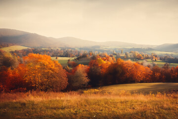 Fototapeta premium Cozy Landscape Background