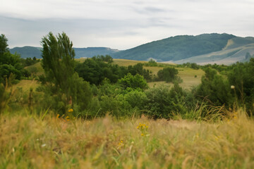 Obraz premium Cozy Landscape Background