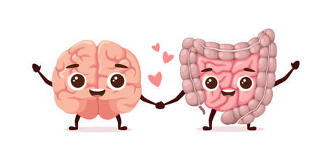The brain and intestines hold hands. Human organs. Cartoon style. Vector illustration.