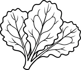 Mustard Greens line art vector illustration on white and black 