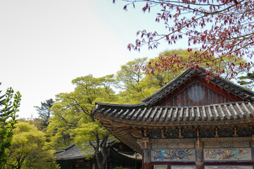 Fototapeta premium 인천광역시 강화군에 있는 오래된 사찰인 전등사.