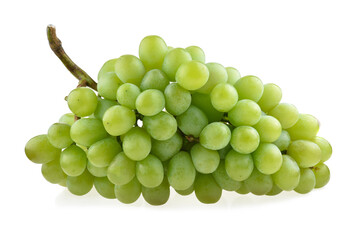 Grapes isolated. A bunch of green grapes on a white background.