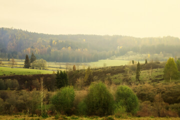 Cozy Landscape Background