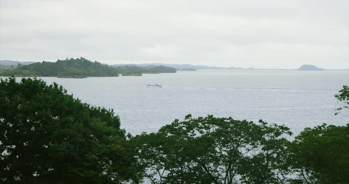 Seaside seen from a forest