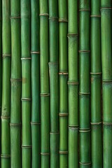 Close-up of dense green bamboo stalks creating a natural and serene pattern.