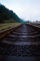 A serene view of railway tracks leading through lush greenery under a cloudy sky in early morning...
