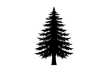 Christmas vector plants.pine