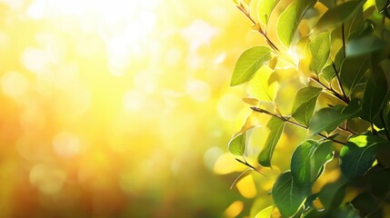 Obraz premium Sunlit Green Leaves with Golden Bokeh Background