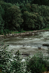 A tranquil river flows through a lush forest, showcasing natural beauty and serenity during the early morning light