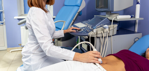 The doctor performs an ultrasound diagnosis of the abdominal cavity of a pregnant girl at an early stage of pregnancy.
