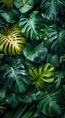 Obraz premium Tropical Leaf Background
