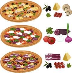 Pizzas with ingredients in a set.Vector illustration with a set of pizza ingredients on a transparent background.