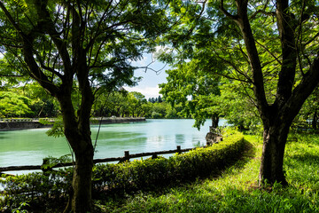 Beautiful lakeshore landscape of Chengcheng Lake in Kaohsiung, Taiwan.