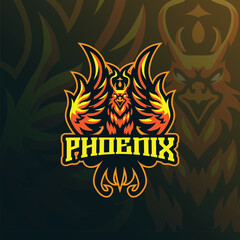 Phoenix mascot logo design with modern illustration concept style for badge, emblem and t shirt printing. Phoenix illustration for sport and esport team.